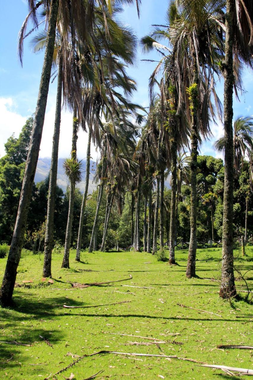 ホテル Hosteria Hacienda Pinsaqui オタバロ エクステリア 写真